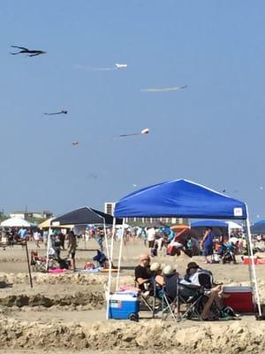 Windy day Tons of kites :))