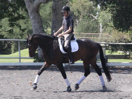 Trainer Lars Holmberg working his horse Mambo in 2011