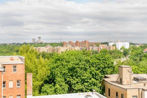 View to the north from the roof deck.