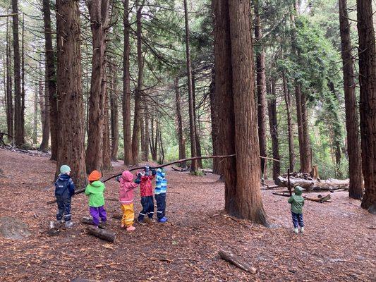 Teamwork in the redwoods. Spire School helps us understand collaboration, and what it means to be a part of a community.