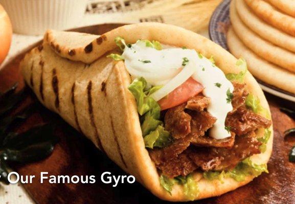 Our Famous Gyro