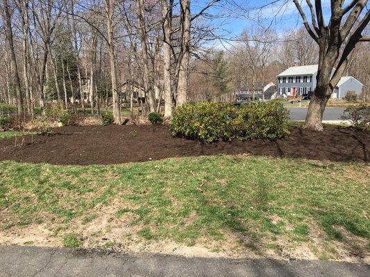 Mulch the front.