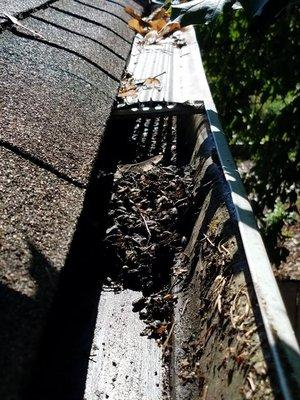 Took off cover to find mess. Cleaned out the gutter before installing new style gutter protection.