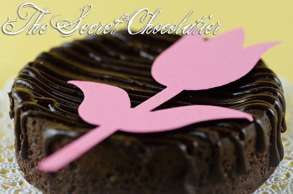 Chocolate Spring Torte