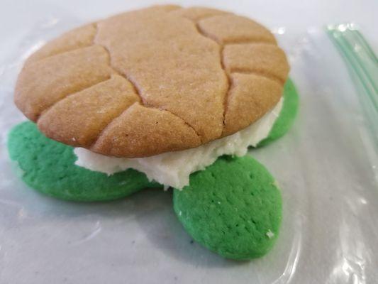 Sea turtle cookies for sale!