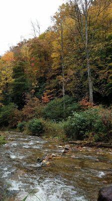 Fall colors on the river right behind the Lodge!