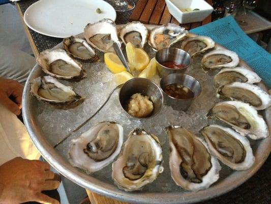 A variety of exquisite oysters