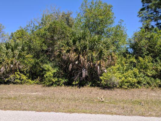 CHOOSE YOUR ADDRESS! THIS CORNER LOT HAS TWO ADDRESSES TO CHOOSE FROM: 151 Ingram Blvd or 121 Redwood Rd Rotonda West, FL  Priced at $11,500