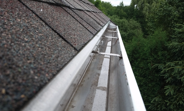 Gutter Cleaning