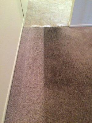 Before and After Photos of an actual client's carpet.