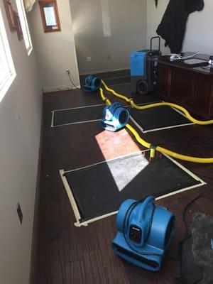 Saving an office hardwood floor