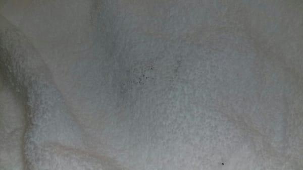 Black mold on towels