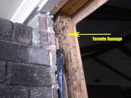 Termite damage or evidence of prior termite treatments are identified.