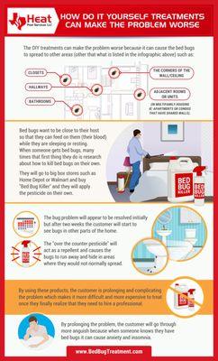 Bed bug treatment advice infographic