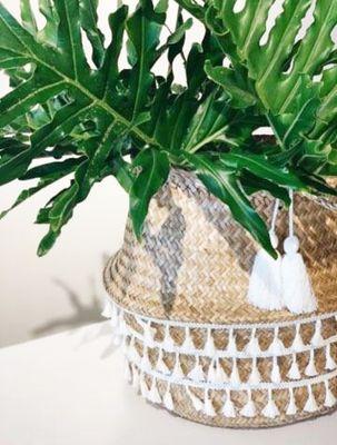 Love these large baskets, available in our Homeware Boutique.