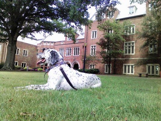 Elliott at the University of Richmond