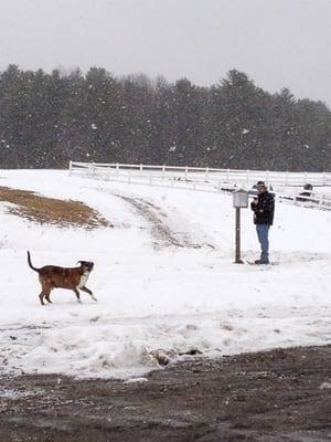 2/16/13 checking out the map while my dog plays in the snow