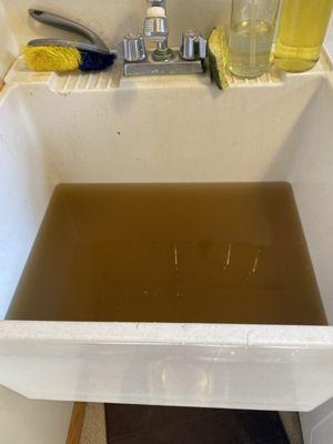 The water in my washtub after I cleaned it -which was AFTER Stanley Steemer''s "cleaning"