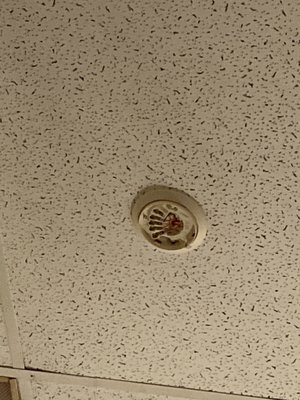 Smoke detector removed