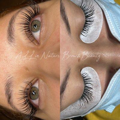 Lash Extensions