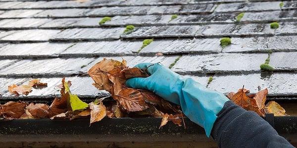 Gutter cleaning