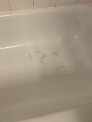 Painted the bathtub to make it look white and clean until first shower....then the paint stuck to my feet and came off the first night !