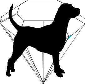 Diamonds In-The-Ruff Dog Training