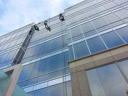 High Rise Window Cleaning