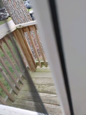 Broken screens on screened in porch. You can also see the green color on the wood that becomes super slick when wet