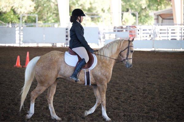 First in person horse show