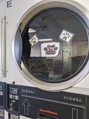 Pet friendly dryers! $0.25 for every 8 minutes.