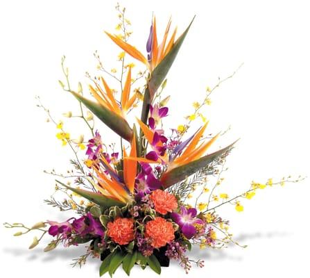 Tropical flower designs