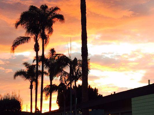 Sunset view from my front porch.