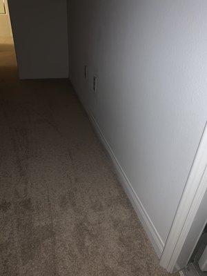 Carpet and wall cleaning