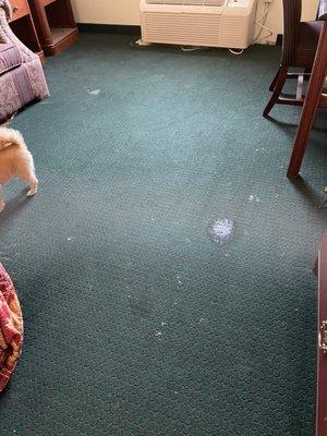 Stained, melted carpet with holes