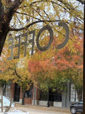 View of a tree in late autumn from inside the store with "coffee" seen backwards.