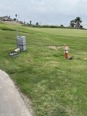 Fun little anomaly here, green side bunker full of crab grass and nothing else.