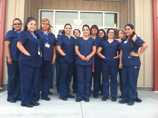 Our fantastic Veterinary Assistant Program!