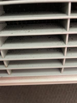 Ac vents mold and dirty