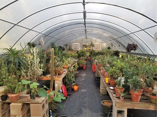 The Greenhouse