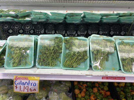 Cilantro Fresco @ $ 1.19 pk