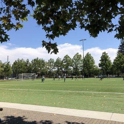 Stanford / Palo Alto Community Playing Fields!!!