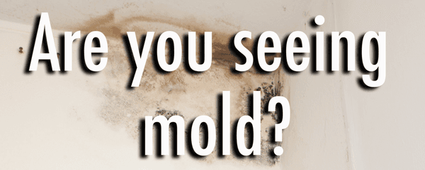 AZ Mold Pro's