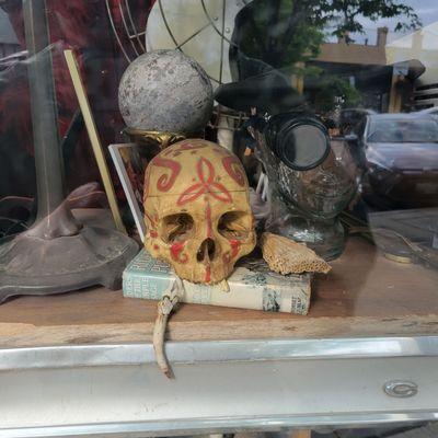 Real human skull with paint designs in the front store window along with a steam punk mannequin head.