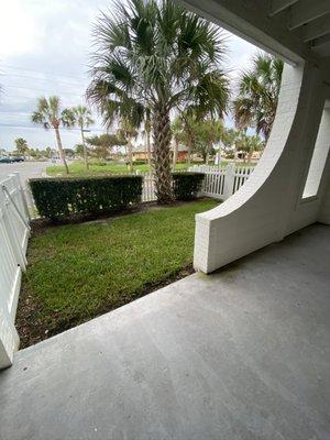 Great little fenced in yard perfect for your pup or green thumb.