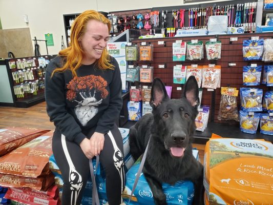 Service Dog Phoenix and his handler