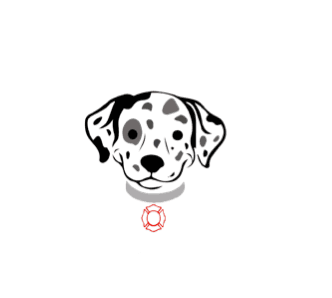 Dalmatian Moving Company