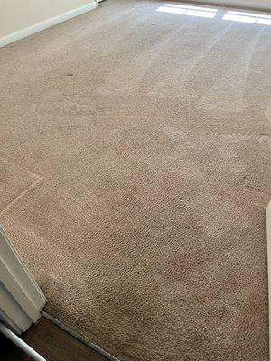 Clean carpet where the stain used to be!