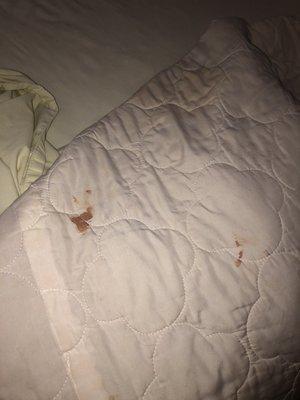 Blood on sheets and other stains