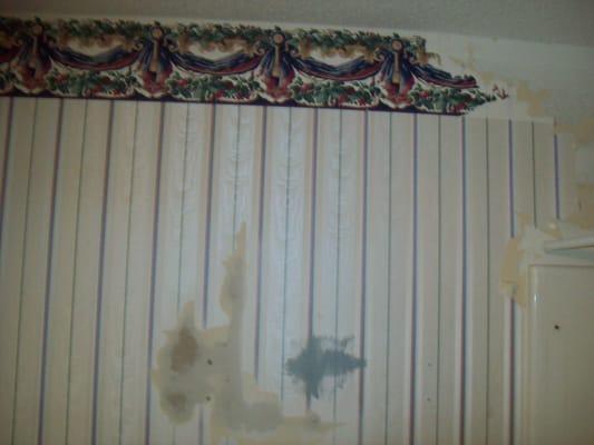 before-bathroom-old wallpaper